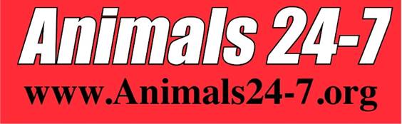 Animals 24-7 logo