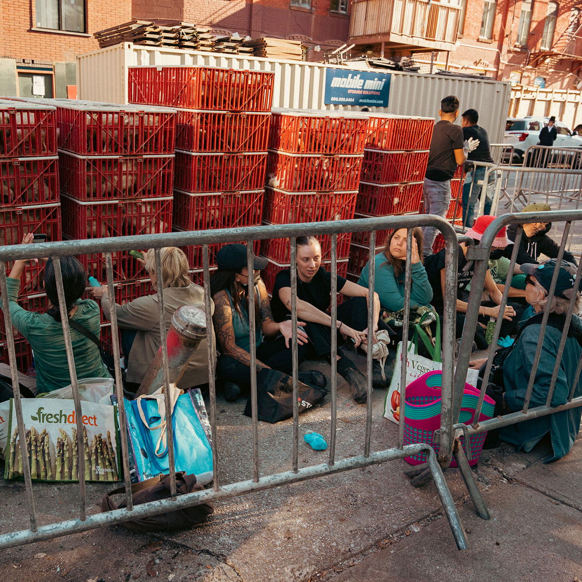 Activists sitting next to chickens in cages