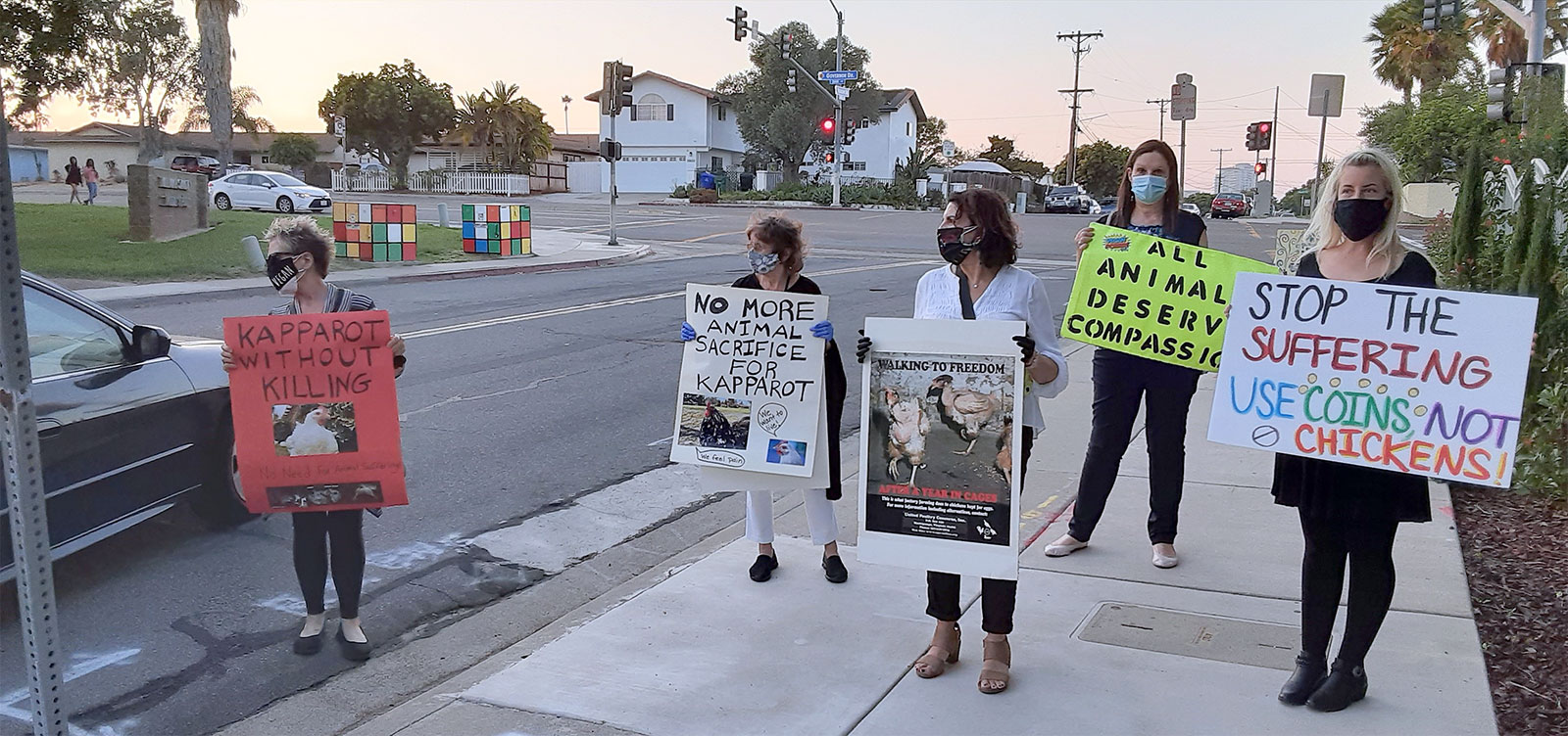 Protesting the use of chickens as Kaporos